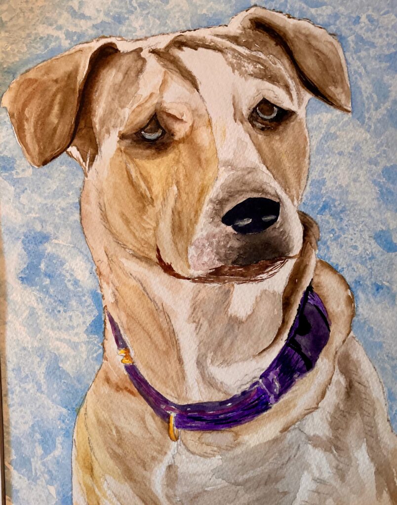 Sparky Watercolor Pet Portrait